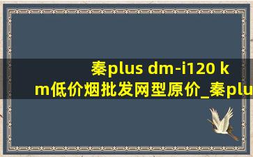 秦plus dm-i120 km(低价烟批发网)型原价_秦plus dm-i120 km(低价烟批发网)型怎么没有天窗